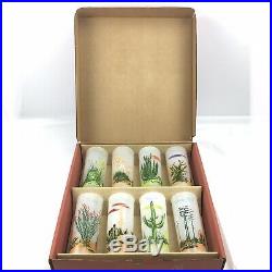 8 Vintage Blakely Oil Arizona Cactus Frosted Glasses In Box