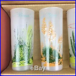 8 Vintage Blakely Oil Arizona Cactus Frosted Glasses In Box
