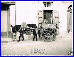 REAL PHOTO VINTAGE 1950's THE ESSO DONKEY, GOZOITALY, RODGER LEE, ESSO OIL, RARE