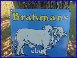 Vintage 1958 Brahmans American Breeders Association Porcelain Enamel Sign Texas Vintage 1958 Brahmans American Breeders Association Porcelain Enamel Sign Texas