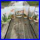 Vintage Blakely Gas Oil Arizona Cactus Pitcher with 6 Glasses Arizona Cacti 1950