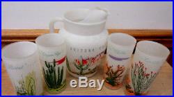 Vtg 1950's Blakely Oil & Gas Arizona Cacti Pitcher & 4 Glasses Frosted Glass