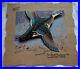 Vtg 1950s 4 OMC Johnson Sea Horse Wood Duck Calendar Advertising Art BEAUTIFUL